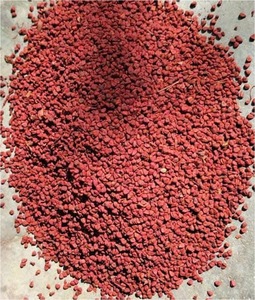 Graines d'annatto séchées pour bouillon de hotpot, marinade BBQ, poulet frit et production de sauces - Product Image 4