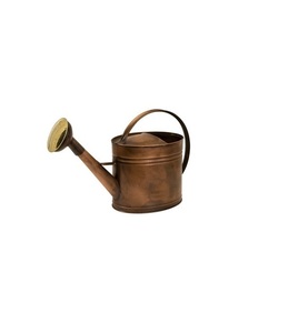 Arrosoir en métal robuste pour jardin extérieur, construction robuste, revêtement antirouille, bec long, arrosage uniforme, poignée équilibrée - Product Image 6