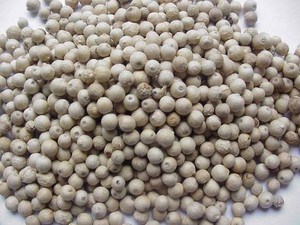 พริกไทยขาวเวียดนามขายส่งสำหรับส่งออก คุณภาพดี ราคาดีที่สุด - Product Image 2