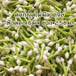ดอกมะลิประดิษฐ์ พลาสติก งานฝีมือไทย สำหรับตกแต่งพวงมาลัย - Product Image 3
