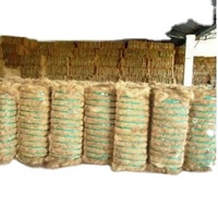 Fibres de coco extraites de coques de noix de coco pour cordes, brosses et produits de rembourrage