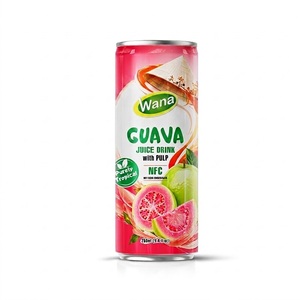 Jugo de Sandía Premium con Pulpa, Bebida Lista para Beber en Lata de 250 ml, OEM, Marca Privada para Distribuidores y Propietarios de Marcas - Product Image 3