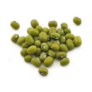 Nueva cosecha de frijoles mung verdes para el mercado internacional - Product Image 1