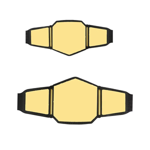 Ceinture de championnat de lutte réplique, qualité supérieure, finition de haute qualité, logo personnalisé, ODM, vente en gros, design unique 2026 - Product Image 4