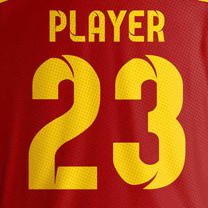 Uniforme de hockey sur glace de qualité supérieure, uniforme de hockey sur glace sur mesure, vêtements de sport 100% polyester en provenance du Pakistan - Product Image 4