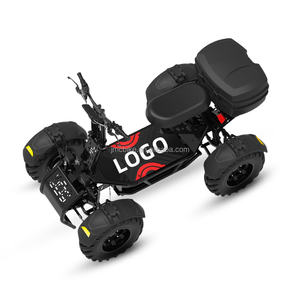 Certifié CE 60V 50Ah 8000W Scooter électrique 21 pouces 4 roues double suspension puissant <span class=keywords><strong>10000W</strong></span> adultes tout-terrain - Product Image 5