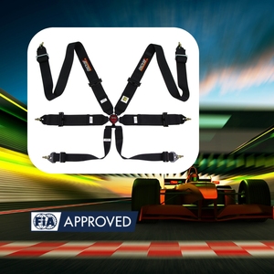 Motorsport Safety TBRACING ECO FIA Approved 6 Point Racing Harness 3 Inch Pelvic Strap Custom Logo Brand Wholesale - Product Image 1