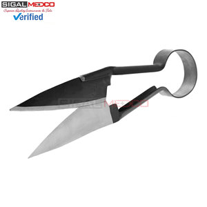 กรรไกรตัดขนแกะ ตัดกีบ ตัดสิ่งสกปรก ขนาด 13 นิ้ว เยอรมนี สแตนเลสสตีล ใช้ซ้ำได้ ใบมีดตรง ลับคมเองได้ ดีไซน์สปริง ขนาด 6.1 นิ้ว - Product Image 2