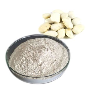 Extracto de Frijol Blanco Premium en Polvo, Natural y Puro, Phaseolus Vulgaris, para Apoyar la Digestión, Exportación de la India a Precio de Mayoreo - Product Image 4