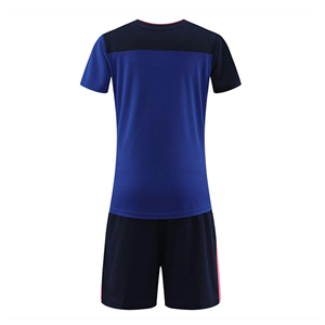 Uniformes de Voleibol Profesional - Camisetas de Voleibol Sublimadas Personalizadas para Hombre/Mujer, Descuento por Volumen - Product Image 3