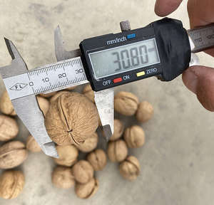 Mitades de nuez frescas sin cáscara, nueces de alta calidad llenas de nutrientes y aceites saludables para compra al por mayor - Product Image 1