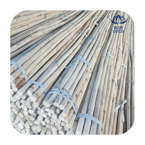 Mejor Precio en Varas de Ratán, Proveedor Vietnamita para Muebles y Manualidades - Product Image 1