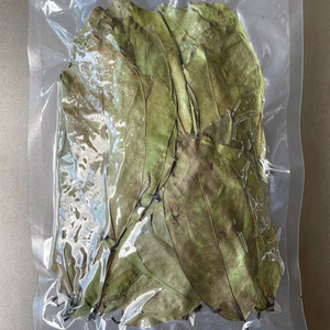 โรงงานเวียดนาม ใบเต้าเจียแห้ง คุณภาพดี ราคาดีที่สุด สำหรับขายส่ง - Product Image 1