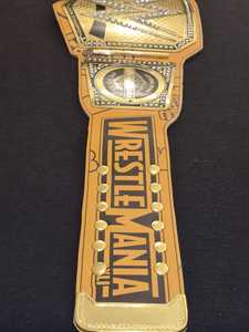 Cinturón de Campeonato de Lucha Libre Personalizado, Cinturón de Título de Metal, Hebilla de Aleación, Correa de Latón, Cinturón de Ganador de Torneo para Adultos - Product Image 3