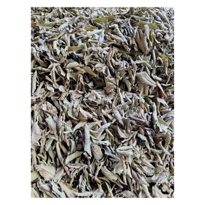 Bolsitas de Té de Hoja de Guayaba Premium, Fabricante de Marca Privada OEM ODM, Empaque Ecológico, Vietnam - Product Image 6