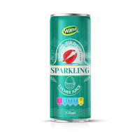 Premium natuurlijk gearomatiseerde bruisende druiven- en watermeloen sap frisdrank 250ml fles |   Verfrissende drank |   Vietnamese exporteur