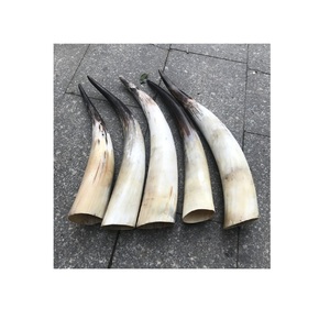 Polished Buffalo Horn decorative Unique Carved Animal Style Handicraft Natural <b>Raw</b> Horn Decoration items - Product Image 1