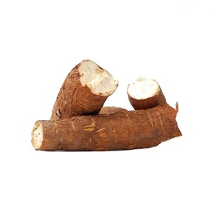 Высокое качество маниоки