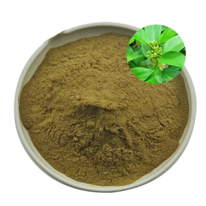 Finely Processed Gymnema Sylvestre Powder Natural Plant Based Gymnema Sylvestre Powder Bulk Supplier <b>For</b> Energy Support Products - Product Image 1