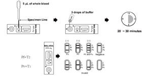 말라리아 P.f. P.v. 콤보 항원 검사 키트 |   전염병 지역을 위한 빠른 가정/POCT 검사 |   신뢰할 수 있는 이중 감지 - Product Image 6