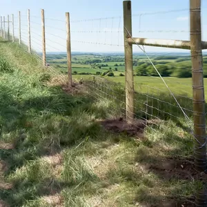 Cerca Agrícola de Alambre Soldado de Alta Resistencia con Postes de Madera para Ganado, Delimitación de Campos Agrícolas y Uso en Seguridad Exterior - Product Image 1