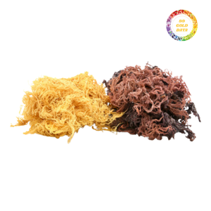 Musgo Marino Silvestre de Alta Calidad, Seco, Suministro a Granel para Exportación - Product Image 4