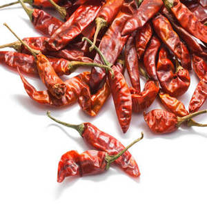 Piment rouge entier indien de qualité alimentaire naturelle, marque FitTree International, durée de conservation de 24 mois, transformation brute pour l'exportation mondiale - Product Image 6