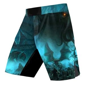 Shorts de combat MMA micro extensibles, légers, durables, à séchage rapide, haute performance, OEM, personnalisables à l'avant, pour BJJ, cage fighting et grappling. - Product Image 1