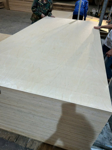 Contreplaqué en placage de bouleau 1250 x 2500 1220 x 2400 mm, qualité D/DD, certifié E0 E1 CARB P2 pour la fabrication de meubles et les panneaux intérieurs - Product Image 6