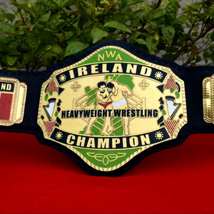 Cinturón de Campeonato de Metal de Primera Calidad para Lucha Libre, Grappling, Judo, Taekwondo, Karate, Jiu-Jitsu, Samurai, Aikido - Product Image 1