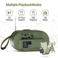 Haut-parleur solaire LN-1018SUN avec support de téléphone, antenne étendue, radio FM, basses puissantes 10W, appairage TWS, vente en gros