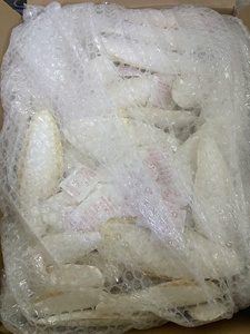 Quality Natural Dried <b>Cuttlefish</b> Bone Squid Bone for Parrots at Factory - Product Image 4