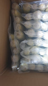 MEILLEUR VENDEUR: MAÏS CONGELÉ DU VIETNAM - Product Image 4