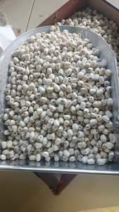 Agregue sabor y salud a su vida con semillas de loto secas. - Product Image 5