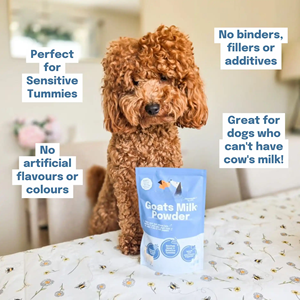 Suplemento de Leche de Cabra Orgánica en Polvo de Alta Calidad para Cachorros, Perros y Gatos - Sin Granos, Alto en Proteínas, Apoyo para la Salud Inmunológica y de las Articulaciones - Product Image 4