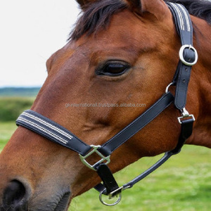 Halter de caballo de cuero genuino decorativo con cristales de lujo en todos los tamaños personalizados con relleno suave de vaca en Noseband y herrajes de latón - Product Image 5