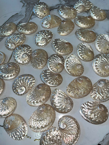 เปลือกหอยเป๋าฮื้อสีมุก Haliotis Ovina สำหรับตกแต่งชายหาด งานศิลปะเปลือกหอยสีขาว พร้อมรูสำหรับทำสร้อยคอ เครื่องประดับ งานฝีมือ - Product Image 3