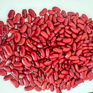 ถั่วแดงออร์แกนิกอบแห้ง คุณภาพเยี่ยม สีธรรมชาติ รสชาติเข้มข้น เนื้อแน่น เหมาะสำหรับอาหารเพื่อสุขภาพ ร้านอาหาร จำหน่ายแบบขายส่ง - Product Image 3