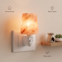 Lampe murale en sel de l'Himalaya sculptée à la main, mini veilleuse conique en sel avec prise rotative et interrupteur marche/arrêt