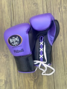 Gants de boxe professionnels de style NBNL de luxe, design personnalisé, cuir de qualité supérieure, gants de sparring, fabricant OEM ODM, Pakistan - Product Image 2