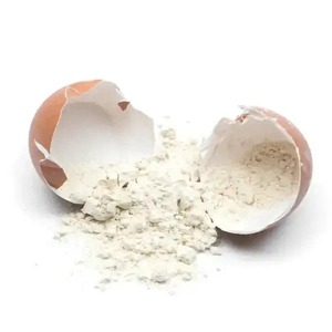 Poudre de membrane d'œuf de première qualité, ingrédient naturel sauvage, qualité alimentaire supérieure, 0,99 %, compléments alimentaires toutes saisons, nutraceutique - Product Image 1