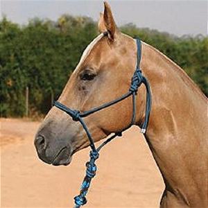 Licol pour cheval avec longe en corde, robuste, toutes tailles disponibles - Product Image 2