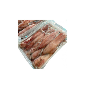 Calamar Congelado de Primera Calidad al por Mayor para Procesamiento de Mariscos y Servicios de Alimentación - Product Image 5