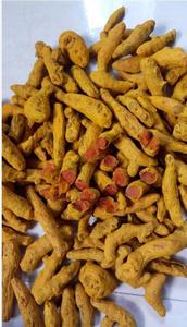 ขมิ้นคุณภาพสูงสำหรับขายในอินเดีย - Product Image 6