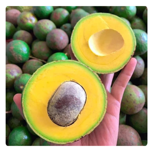 อะโวคาโดแช่แข็งพรีเมี่ยม-คุณภาพส่งออกที่ดีที่สุด-ผู้จำหน่ายเวียดนาม-2025ขายดี - Product Image 1