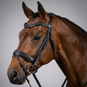 Bridon d'anglaise en cuir anatomique haut de gamme personnalisé, fabricant OEM/ODM, ensemble de bridons de dressage avec incrustations de paillettes, acier inoxydable - Product Image 6