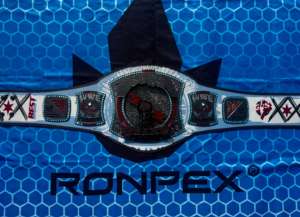 Ceintures de championnat de lutte WWE sur mesure, ceinture de championnat intercontinental WWE, ceinture de championnat en laiton 4MM Ronpex - Product Image 2