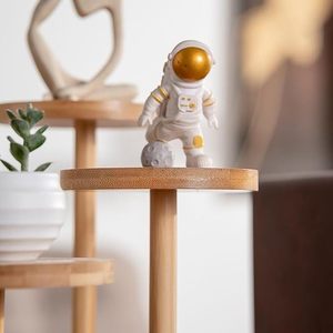 5 Tier Wooden Tabletop Plant <b>Stand</b> Small Tiered Plant Holder for Home Office Balcony Decor - Product Image 3