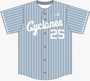 Maillot de baseball personnalisé à rayures fines, entièrement boutonné, manches courtes, vêtements de sport, nom et numéro du joueur, équipement d'équipe OEM - Product Image 1