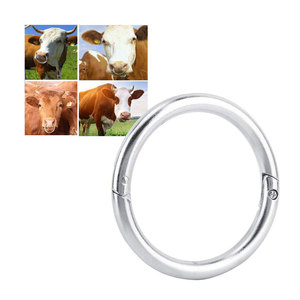 Pinza para nariz de toro con cadena, instrumento veterinario, pinza para nariz de ganado, tipo cadena, para manejo de ganado - Product Image 1